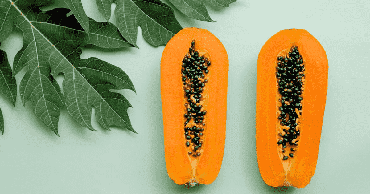 Top 10 Health Benefits Of Papaya Health Brake